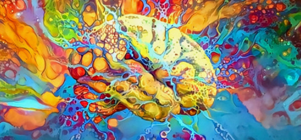 Unlocking the Power of Lucid Dreaming